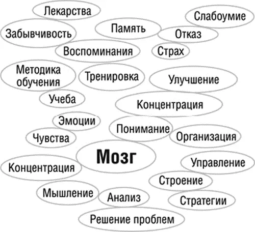 Рис 6 Пример интеллекткарты Интеллекткарты вносят элемент организации - фото 7