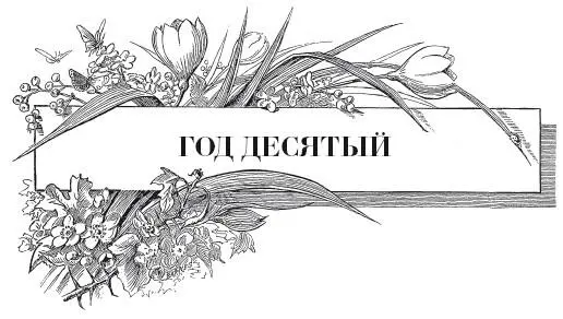 Итак наступил десятый год с тех пор как мы начали осваивать наш участок К - фото 44