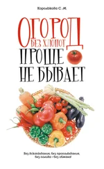Светлана Королькова - Огород без хлопот - Проще не бывает!