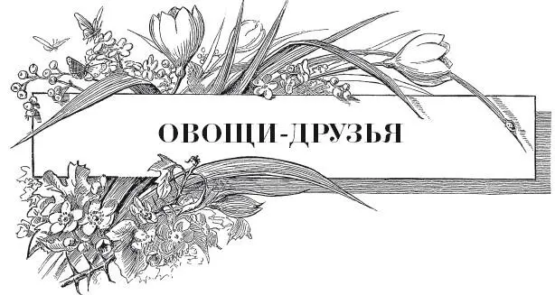 В наше не совсем простое время многие садоводыогородники стараются максимально - фото 27