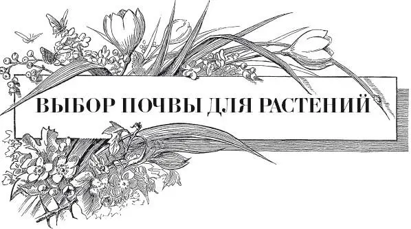 Как определить какая у вас на участке почва не имея специальных индикаторов - фото 30