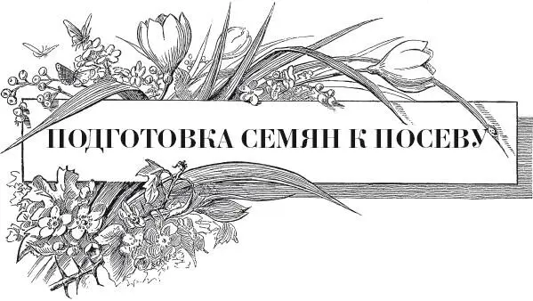 Прежде чем говорить о подготовке семян к посеву следует отметить что большое - фото 34