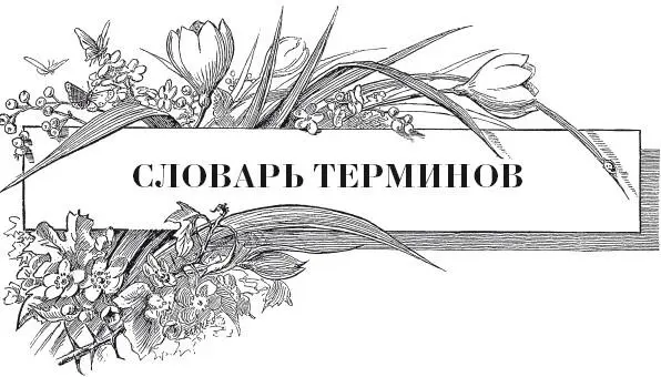 Антракноз грибное заболевание Бульбочки воздушные это такие же семена при - фото 36