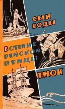 Янка Мавр Сын воды. В стране райской птицы. Амок обложка книги