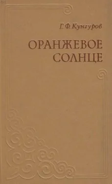 Гавриил Кунгуров Оранжевое солнце обложка книги