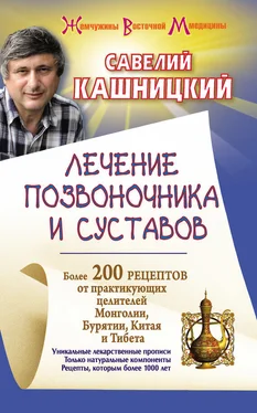 Савелий Кашницкий Лечение позвоночника и суставов. Более 200 рецептов от практикующих целителей Монголии, Китая, Бурятии и Тибета обложка книги