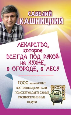 Савелий Кашницкий Лекарство, которое всегда под рукой : на кухне, в огороде, в лесу обложка книги