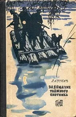 Рудольф Лускач Завещание таежного охотника обложка книги