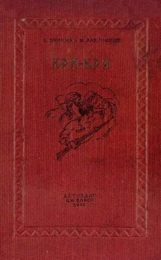 Евгения Яхнина Кри-Кри обложка книги