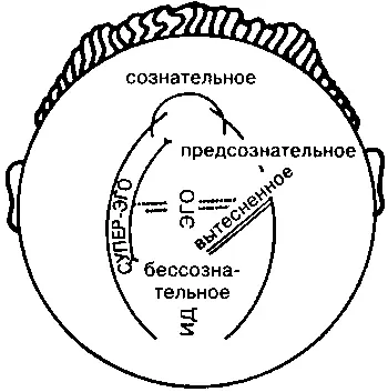 Рис 23 Достижения нейропсихологии эндокринологии и анатомии за последние - фото 4