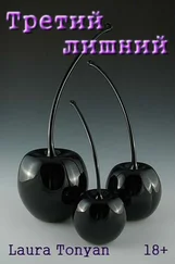 Лаура Тонян - Третий лишний (СИ)