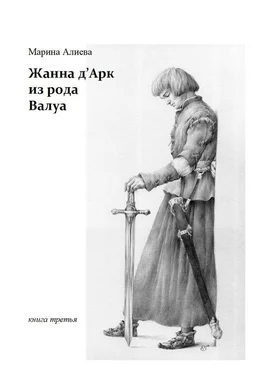 Марина Алиева Жанна д'Арк из рода Валуа. Книга третья обложка книги