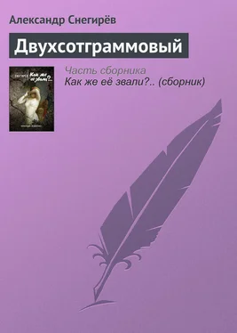 Александр Снегирёв Двухсотграммовый обложка книги