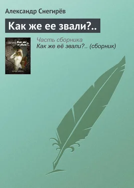 Александр Снегирёв Как же ее звали?.. обложка книги