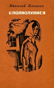 Николай Плевако Полнолуние обложка книги