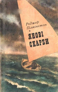 Роджер Пілкінгтон Янові скарби обложка книги