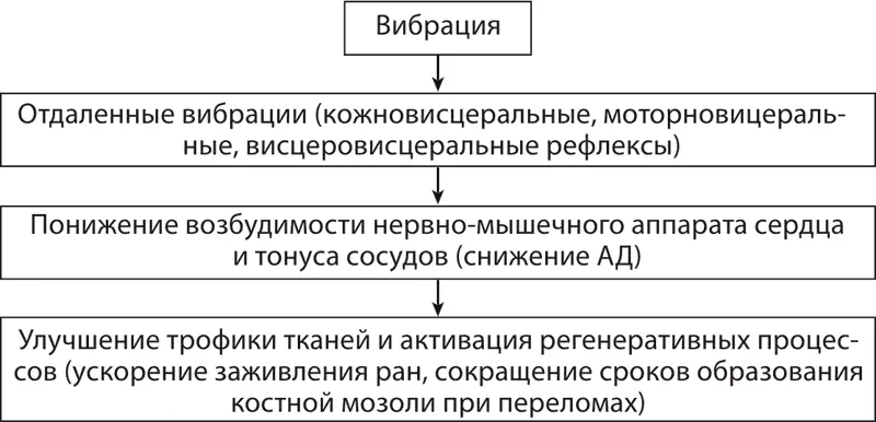 Схема 4Физиологическое действие вибрации Различают два вида вибрации - фото 29