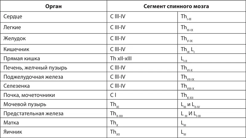 Эти рефлекторные зональные изменения при заболеваниях внутренних органов могут - фото 40
