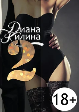 Диана Килина 2. Вторая книга серии 1+1=? обложка книги