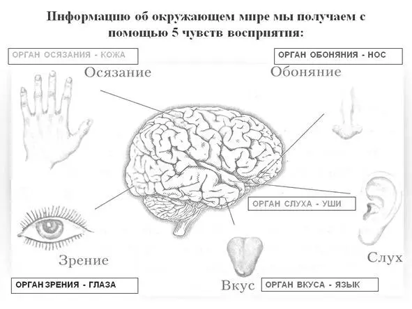 А так же любое движение это так же вибрация по отношению к окружающему - фото 14