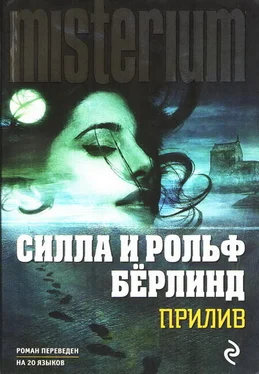 Силла Бёрлинд Прилив обложка книги