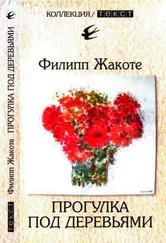 Филипп Жакоте - Прогулка под деревьями