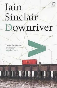 Iain Sinclair Downriver обложка книги