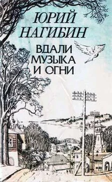 Юрий Нагибин Силуэты города и лиц обложка книги