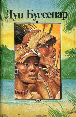 Луи Буссенар Приключения знаменитых первопроходцев. Африка обложка книги
