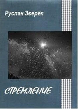 Руслан Зверёк Стремление обложка книги