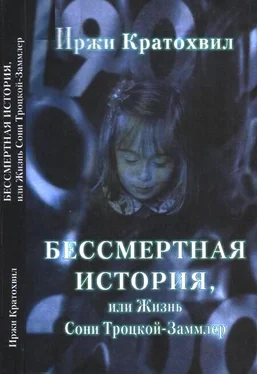 Иржи Кратохвил Бессмертная история, или Жизнь Сони Троцкой-Заммлер обложка книги