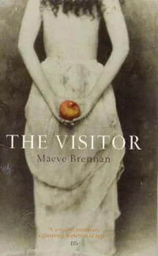 Maeve Brennan The Visitor обложка книги