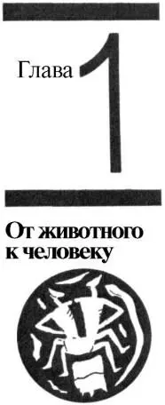 Первобытная проституция Аморализм дикарей Отношение к наготе Стыдливость - фото 6