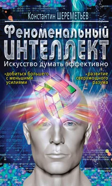 Константин Шереметьев Феноменальный интеллект. Искусство думать эффективно обложка книги