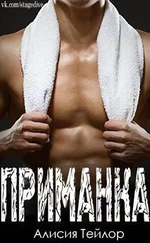 Алисия Тейлор - Приманка (ЛП)