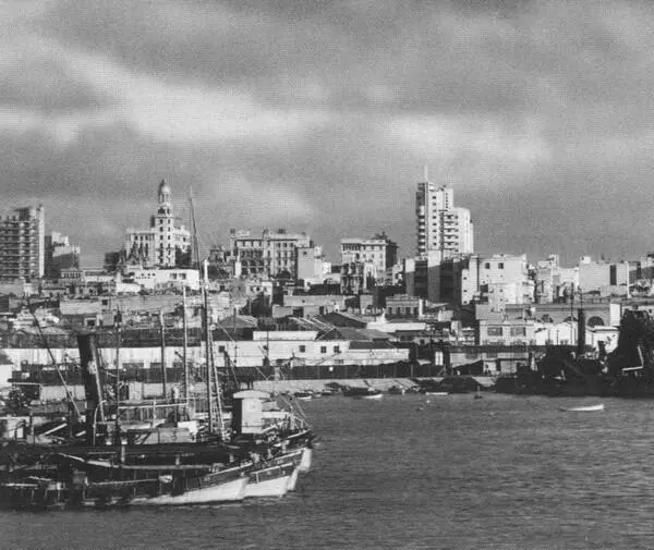 Порт Монтевидео Начало 1950х гг Последняя прижизненная фотография Ивана - фото 51