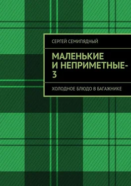 Сергей Семипядный маленькие и неприметные-3 обложка книги