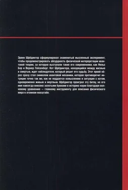 Довид Ласерна На волне Вселенной. Шрёдингер. Квантовые парадоксы обложка книги