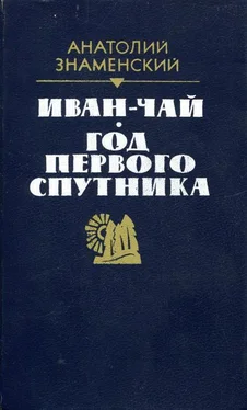 Анатолий Знаменский Иван-чай. Год первого спутника обложка книги