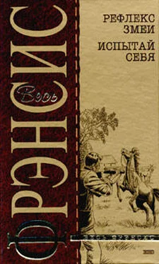 Дик Фрэнсис Рефлекс змеи (Отражение) обложка книги