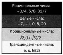Примеры вещественных чисел Начиная от натуральных чисел 1 2 3 - фото 11