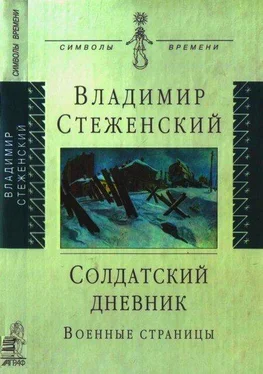 Владимир Стеженский Солдатский дневник обложка книги