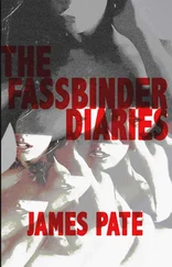 James Pate - The Fassbinder Diaries