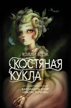 Холли Блэк Костяная кукла обложка книги