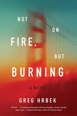 Greg Hrbek Not on Fire, but Burning обложка книги