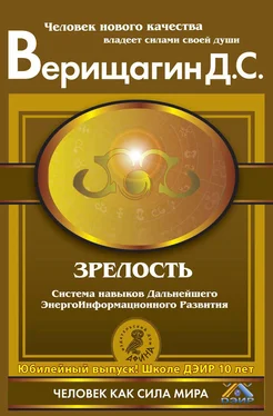 Дмитрий Верищагин Зрелость. Система навыков Дальнейшего ЭнергоИнформационного Развития. IV ступень обложка книги