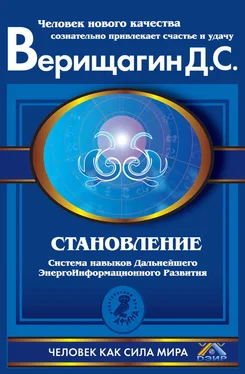 Дмитрий Верищагин Становление. Система навыков Дальнейшего ЭнергоИнформационного Развития. II ступень обложка книги