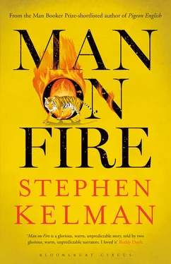 Stephen Kelman Man on Fire обложка книги