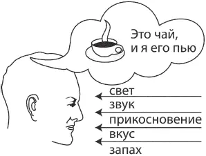 Сознание человека живет в энергоинформационной реальности воссоздавая из - фото 4