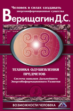 Дмитрий Верищагин Техника одушевления предметов. Система навыков Дальнейшего ЭнергоИнформационного Развития обложка книги